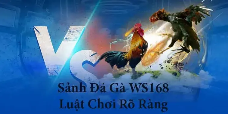Hướng Dẫn Chi Tiết Cách Chơi Đá Gà WS168 Tại 999Bet Hiệu Quả