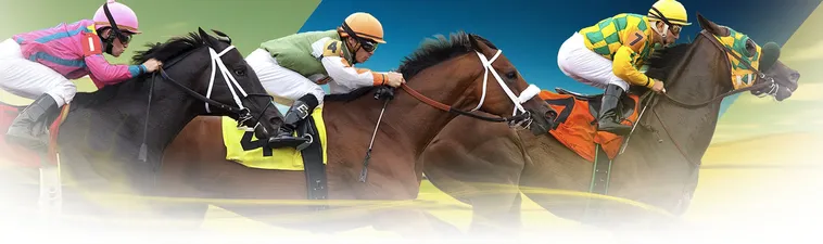 Khám Phá Bí Quyết Cá Cược Đua Ngựa 999Bet Hiệu Quả